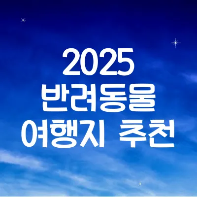반려동물과 떠나는 국내 여행지