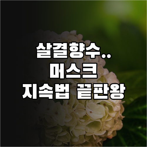 살결 향기 머스크 지속력 높이는 원리..