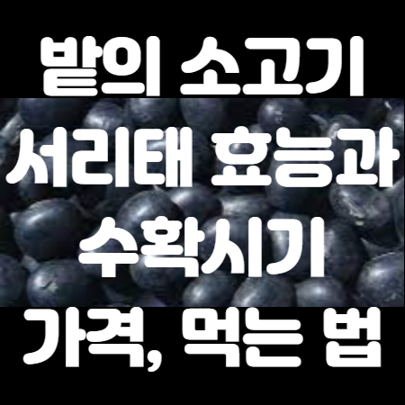서리태 효능