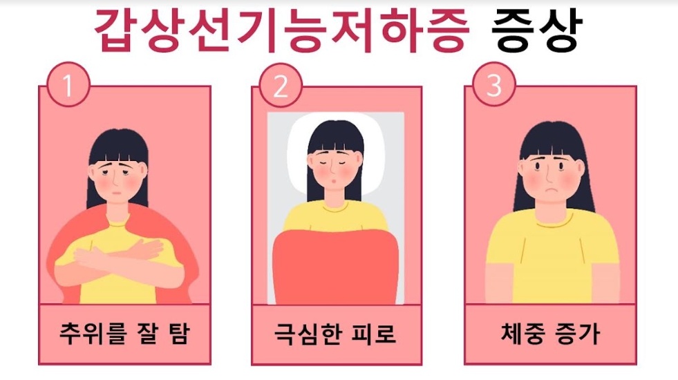 갑상선 결절 증상 및 원인과 치료 기능 저하증 수술 물혹 크기 모양 목에 혹