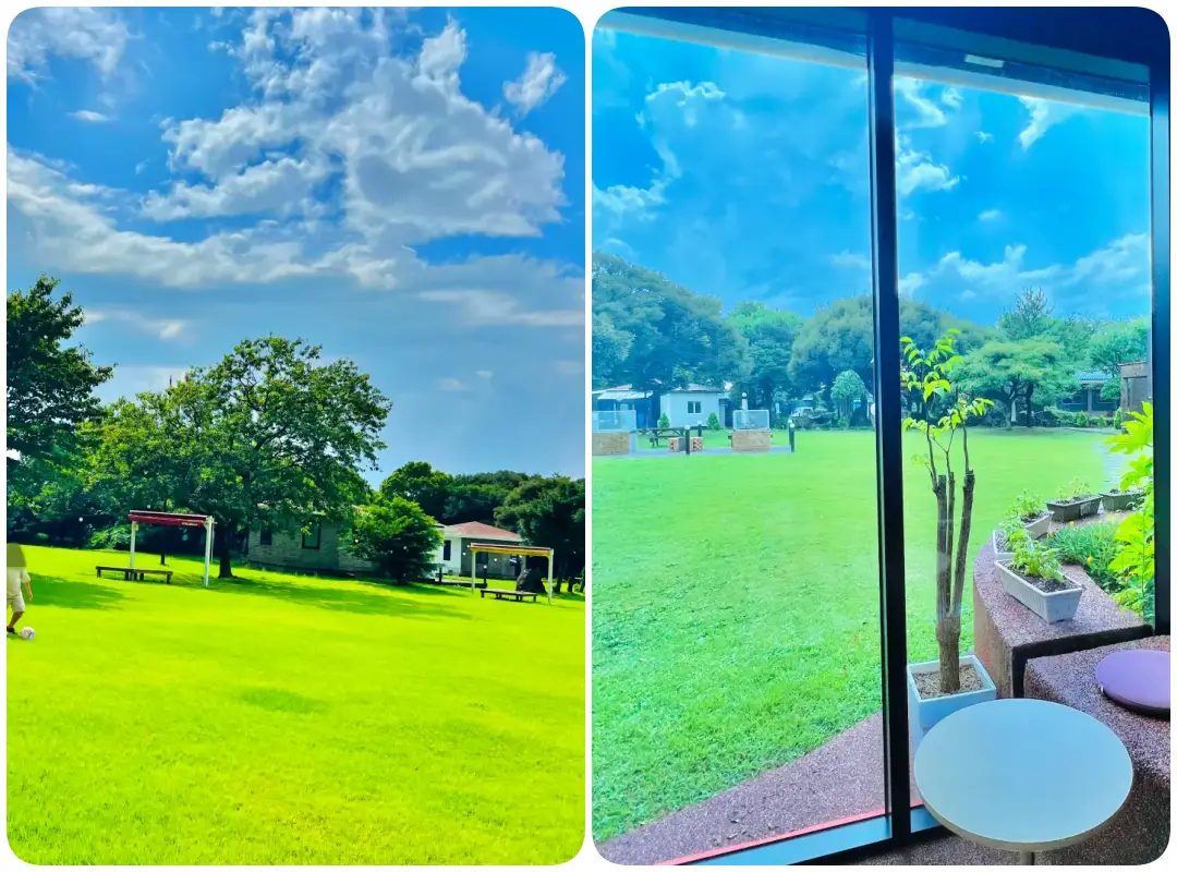 제주 빵집에서 촬영한 실내외 풍경사진