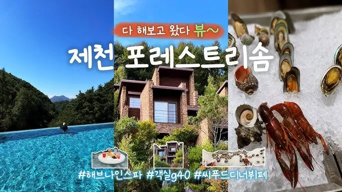 제천 포레스트 리솜 객실 국내 온천 후기_5