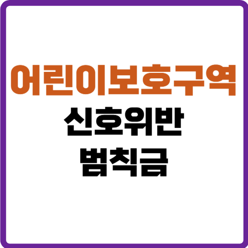 어린이보호구역 신호위반 범칙금