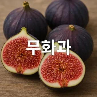무화과 효능 칼로리 먹는 방법 수확시기 보관법_19