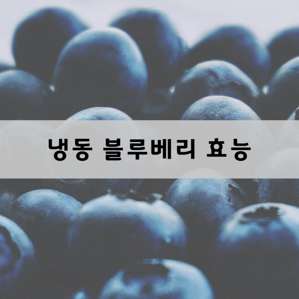 냉동-블루베리-효능
