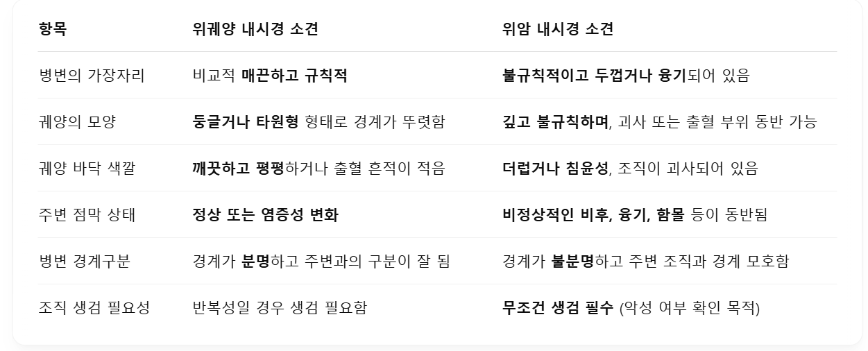 위궤양-위암-내시경-소견-비교