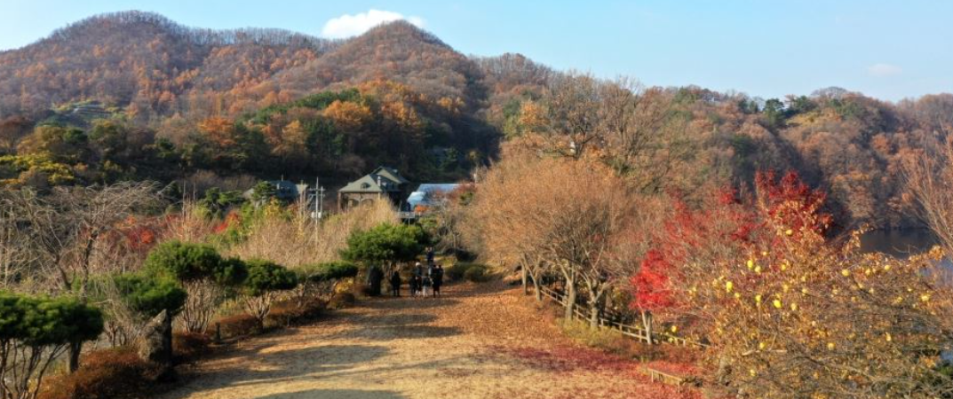 옥천 수생식물학습원