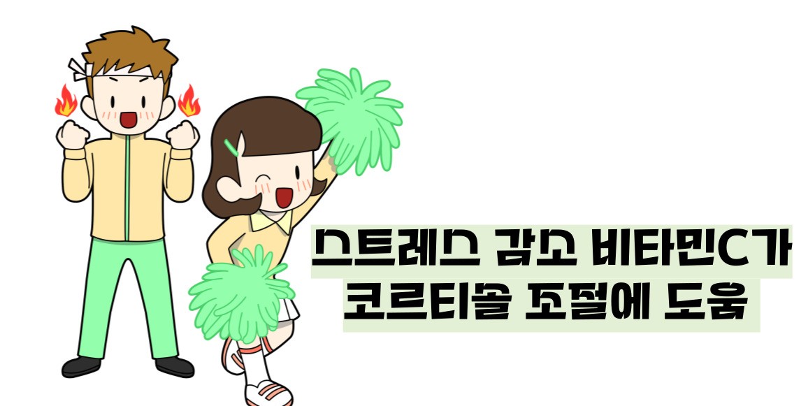 키위 효능 부작용