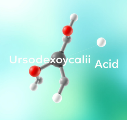 UDCA-영양제-추천-효능