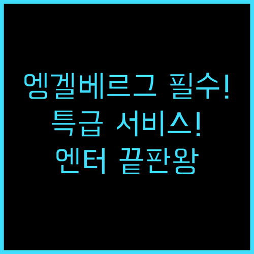 호텔 벨뷰-터미너스 엥겔베르그 완벽한..