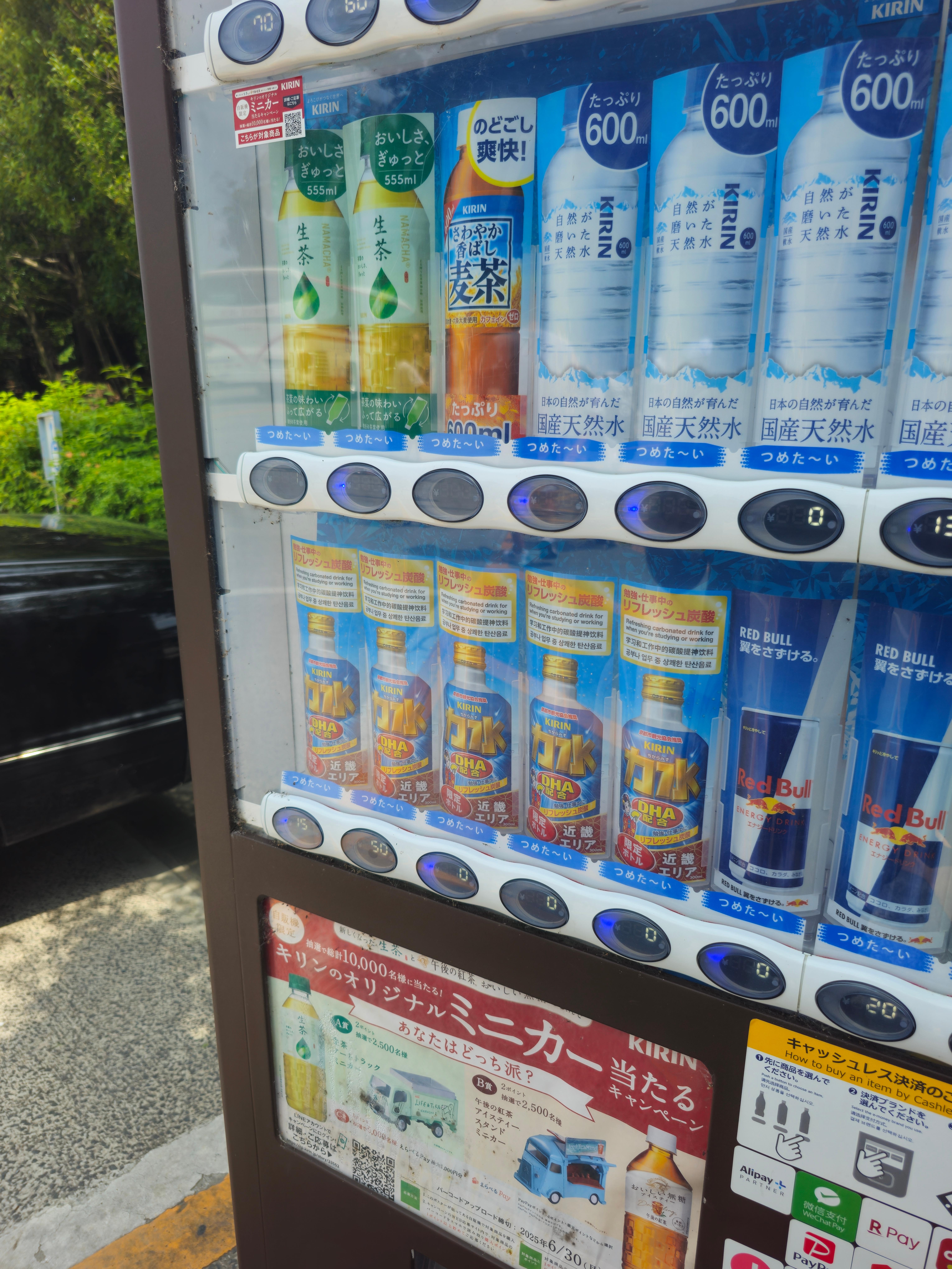 교토에만 판다는 력수 力水