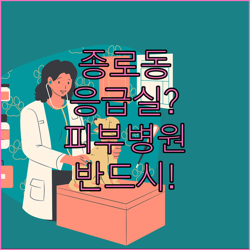 종로구 동물병원 추천 응급실 피부과 ..