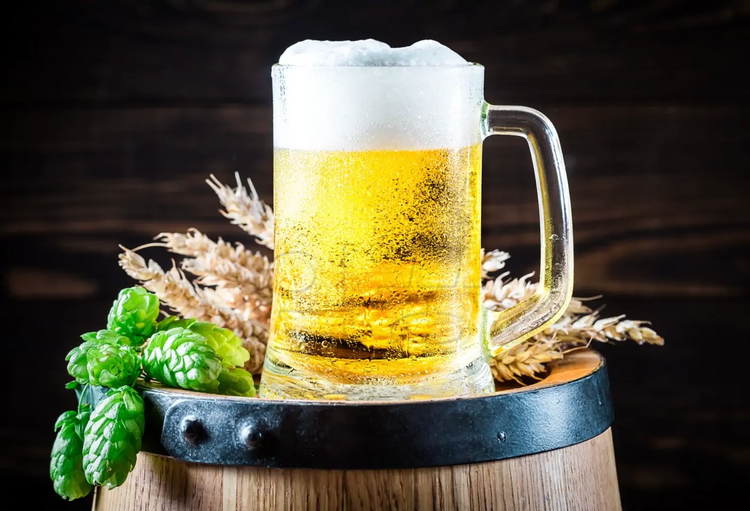 맥주 사진