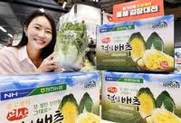 홈플러스 절임배추 예약