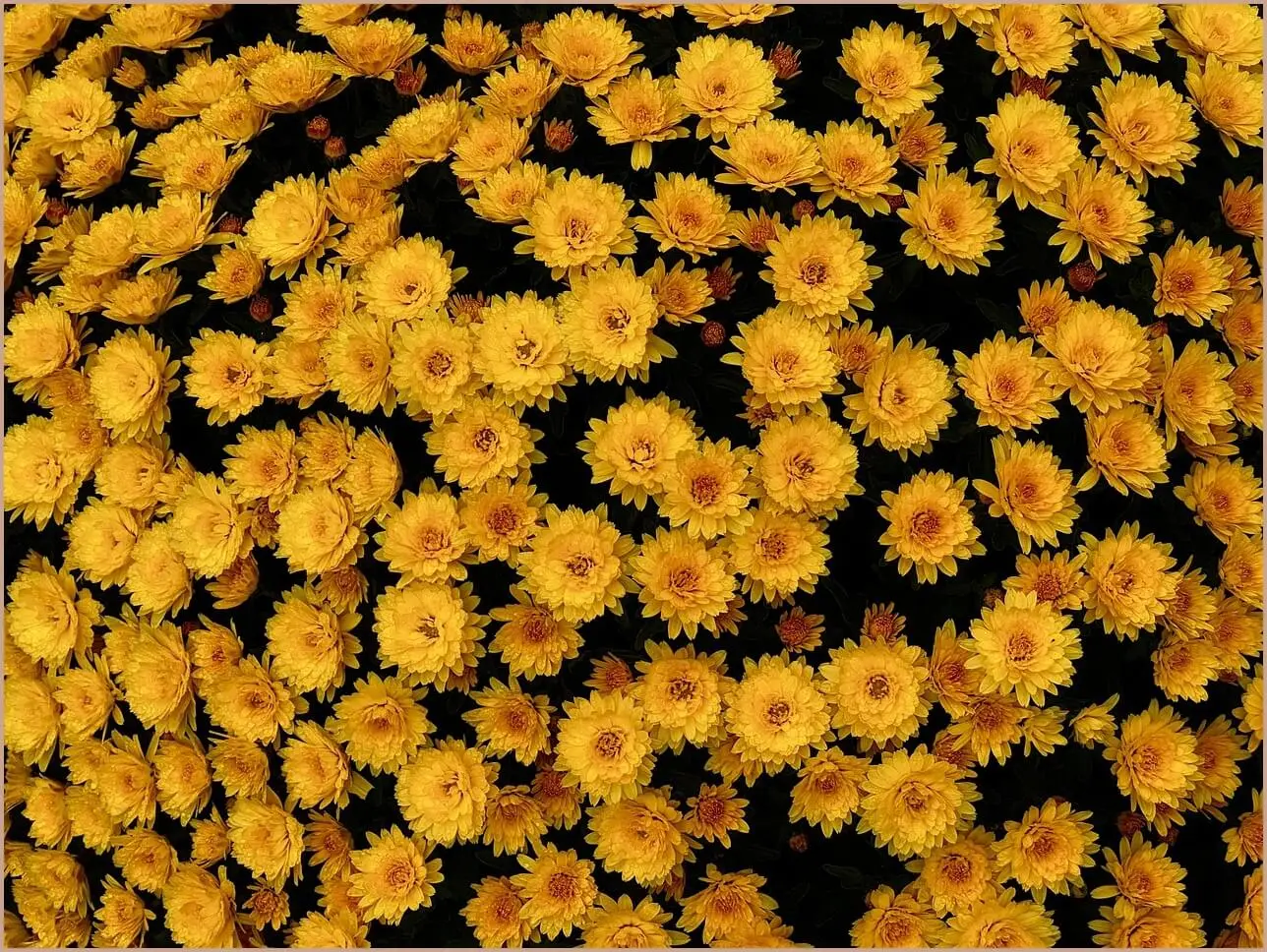 too many concurrent requests