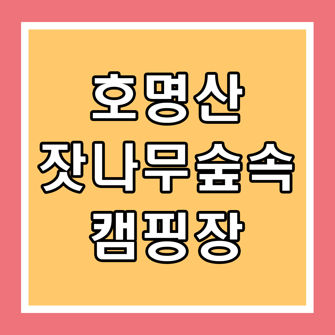 타이틀