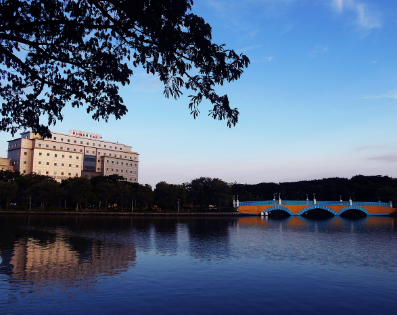 기초생활보장 수급자와 기초연금 수급자의 차이점