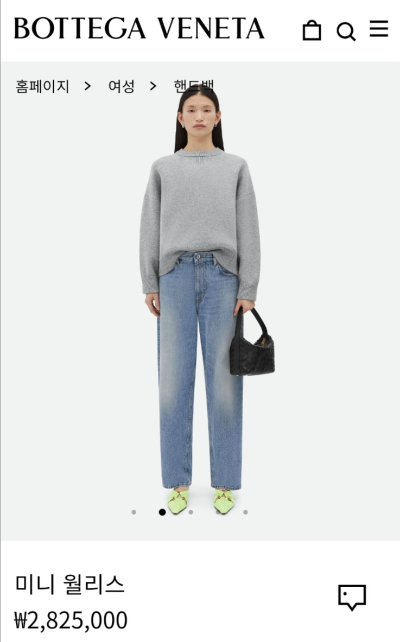 보테가 베네타 미니 월리스