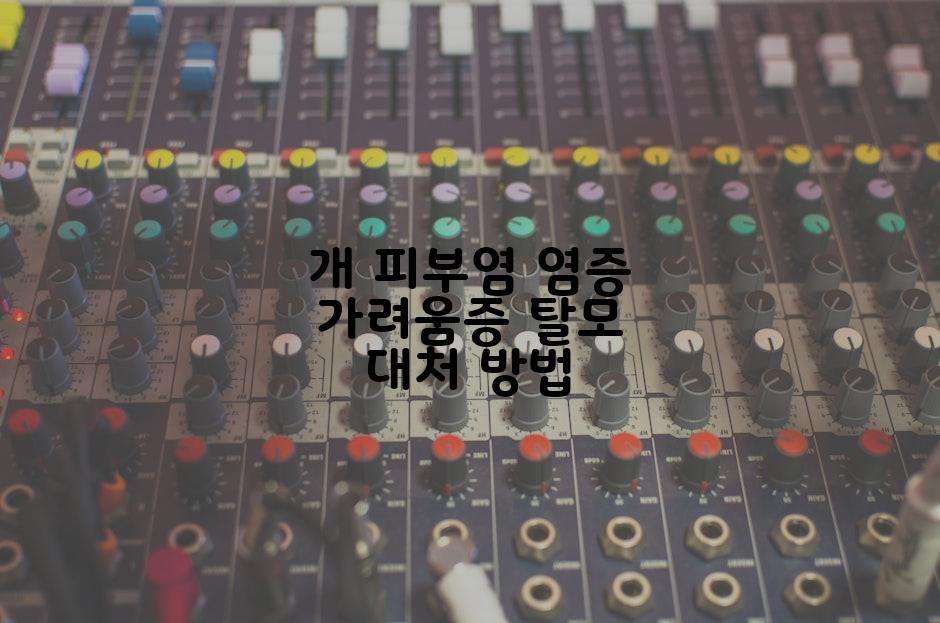 개 피부염 염증 가려움증 탈모 대처 방법