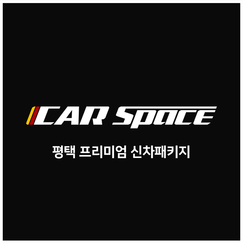 카스페이스 티나인 루마버텍스 평택송탄IC점
