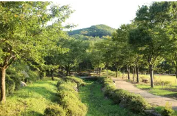 용인자연휴양림 예약