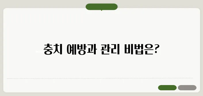 충치 치료 방법과 예방법! 통증 없이 관리하는 법