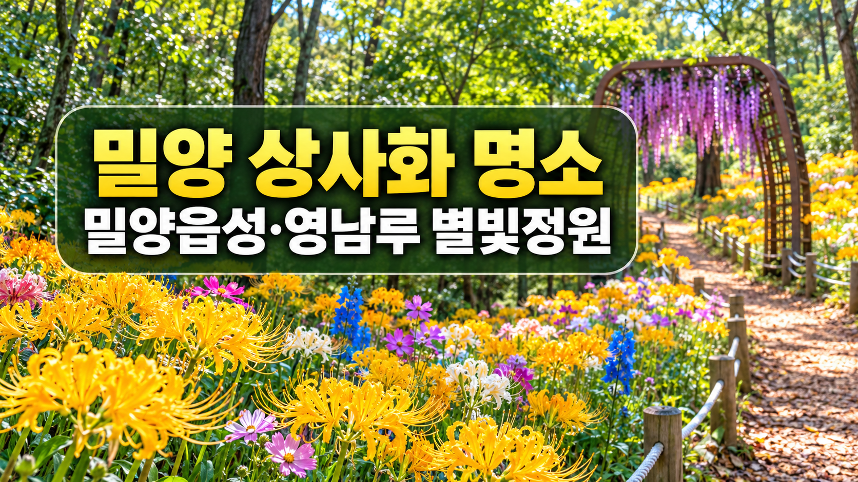 2026 밀양 상사화 명소｜밀양읍성&middot;영남루 별빛정원 주차와 관람 코스