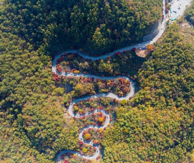 단양-보발재-전망대에서-만나는-가을-절경
