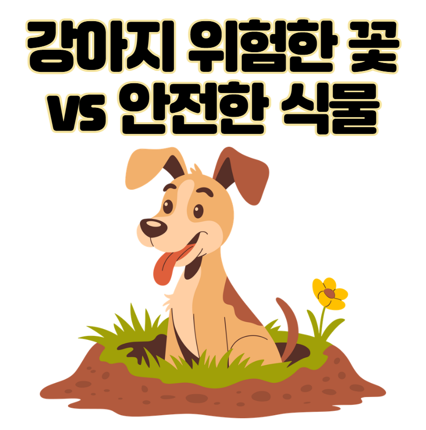 강아지 산책길 위험한 꽃 vs 안전한 식물 총정리