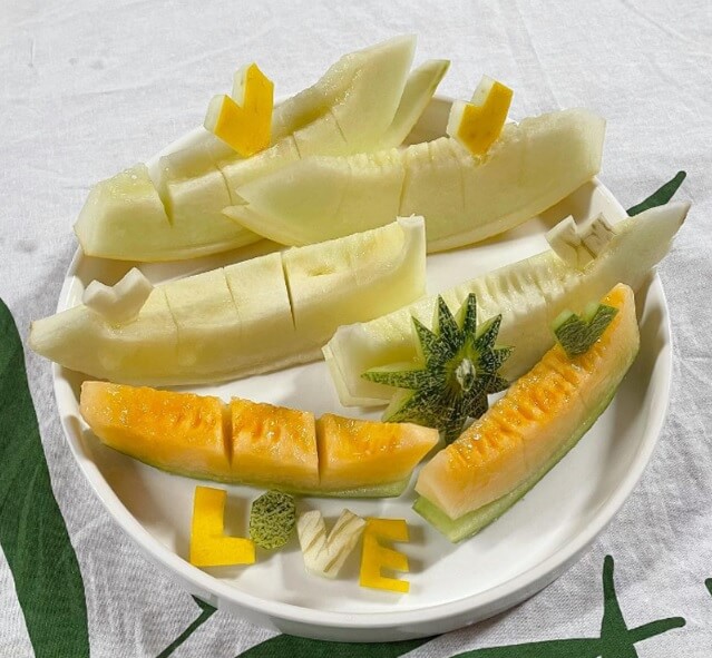 생방송투데이 이 주의 장바구니 경북 고령 쌍둥이메론농장 하미과 & 설향 멜론 주문방법 생방송투데이 3776회