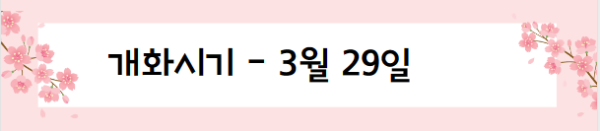 봄꽃 여행지