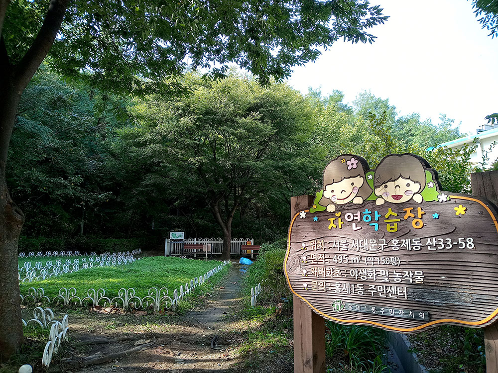 서대문구 나혼자걷자 홍제동 동네한바퀴 걷기챌린지