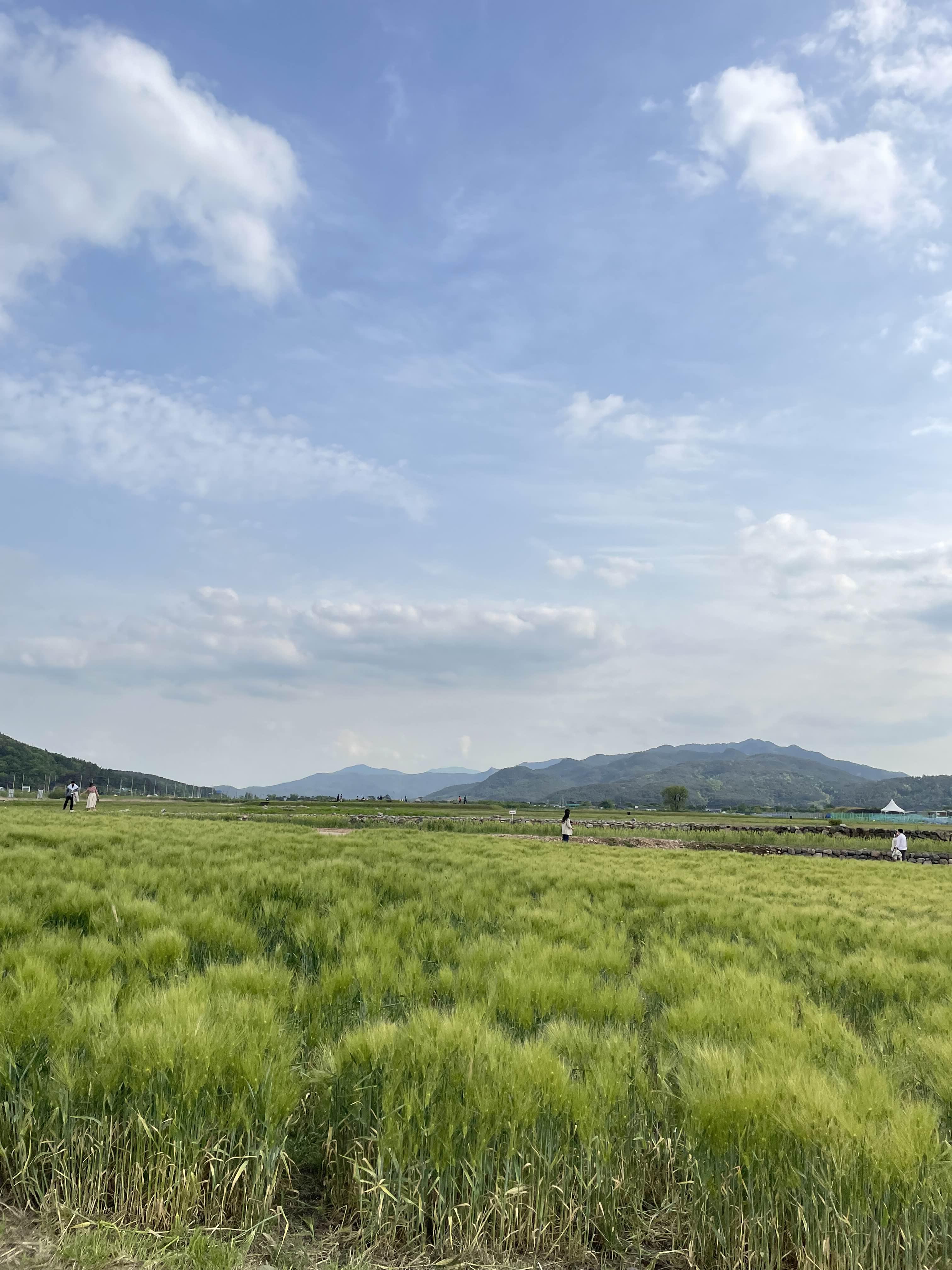경주 나의정원