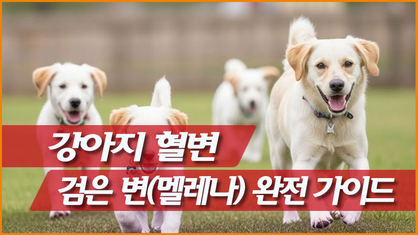 강아지 혈변, 검은 변(멜레나) 완전 가이드