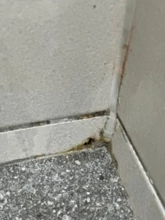 욕실 곰팡이 락스 희석비율과 안전수칙 환기방법_11