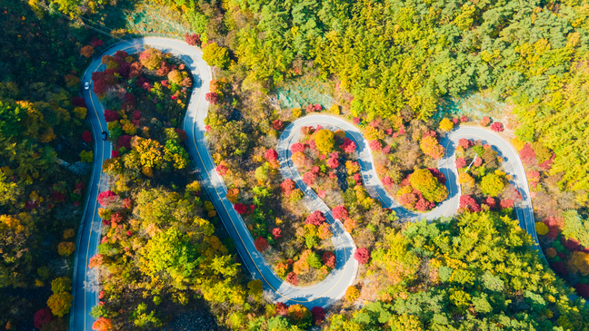 충북 단양 보발재 단풍