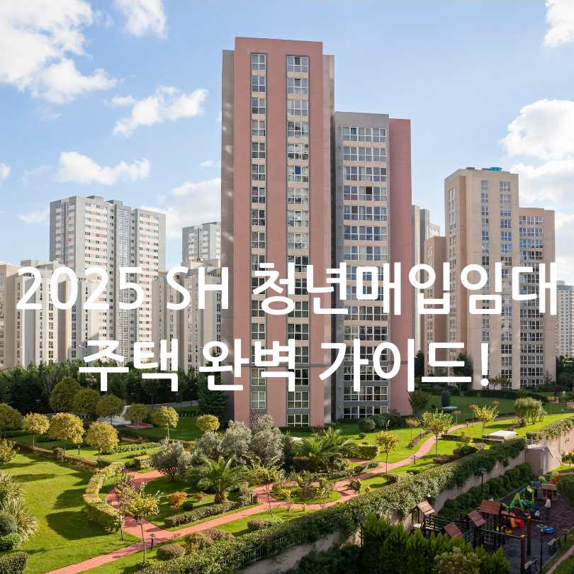 2025 SH 청년매입임대주택 완벽 가이드