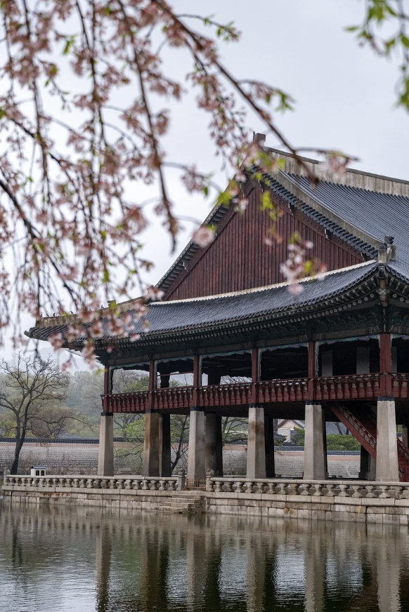 [봄,여름,가을,겨울] 계절별 사진 찍기 좋은 곳 국내 여행지, 사진팁 추천