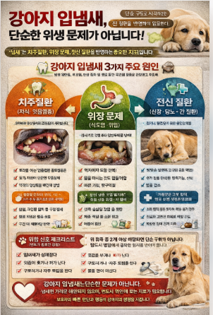 강아지 입에서 썩은내,시큼하거나 비릿한 냄새,암모니아냄새,달콤한내새,심한부패냄새 나는 이유는?(치주질환,위장질환,전신질환)