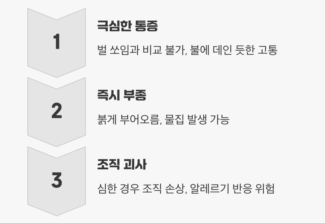 쏘임의 고통, 상상을 초월하는 아픔