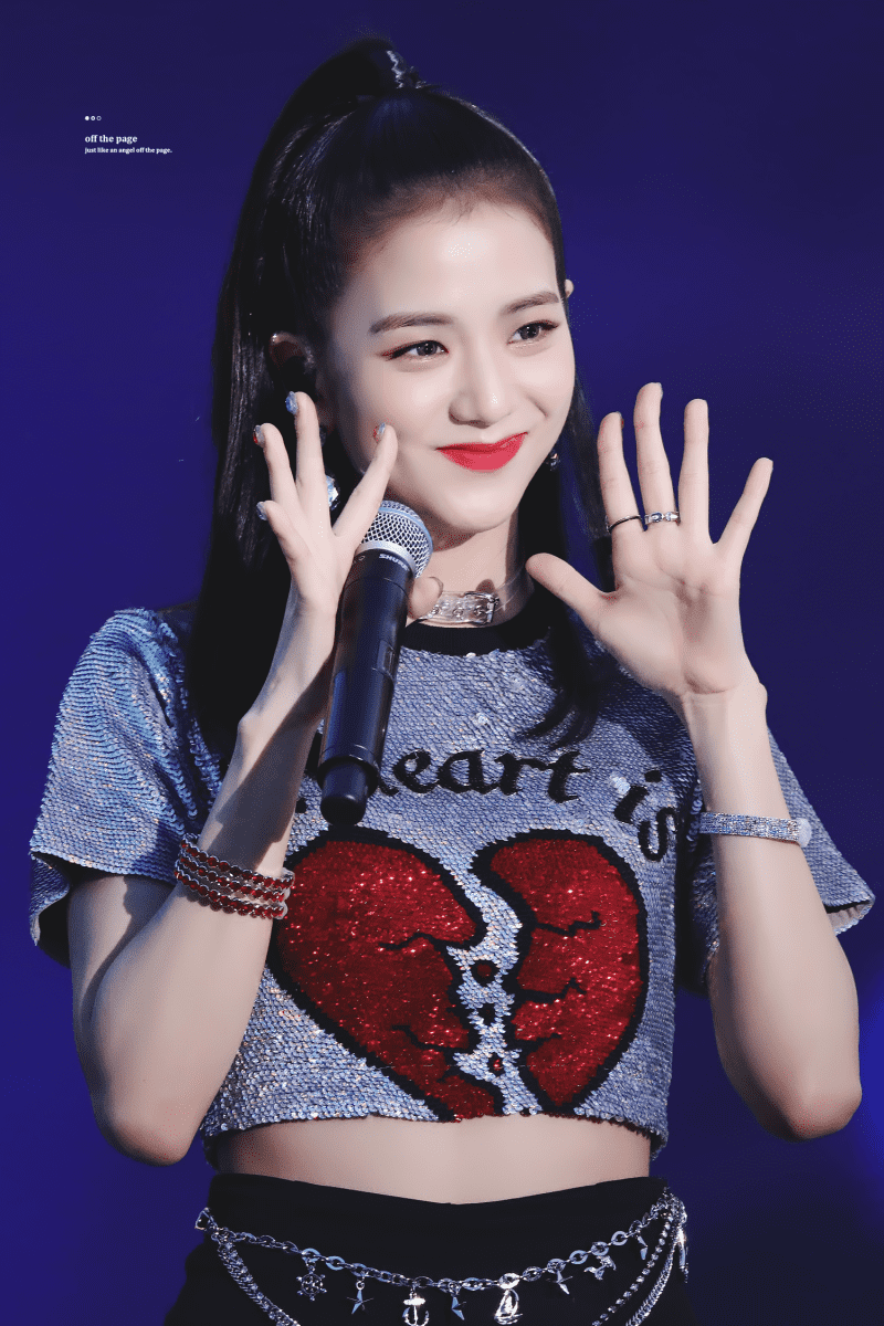 JISOO IN 블랙핑크 지수 입덕