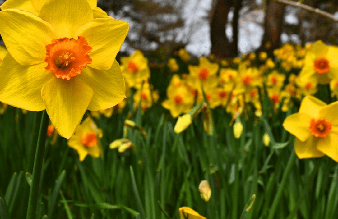 5월 충청남도 여행 추천 가볼만한 곳&amp;#44; 축제 일정 