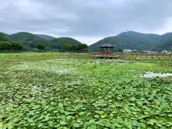 경남 고성 맛집 베스트10 현지인 숨겨진 맛집_26