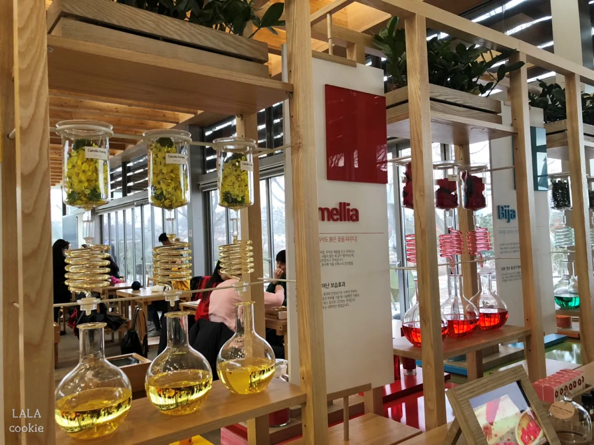 제주도-서쪽-카페-오설록-티뮤지엄-이니스프리-꽃-추출-모습