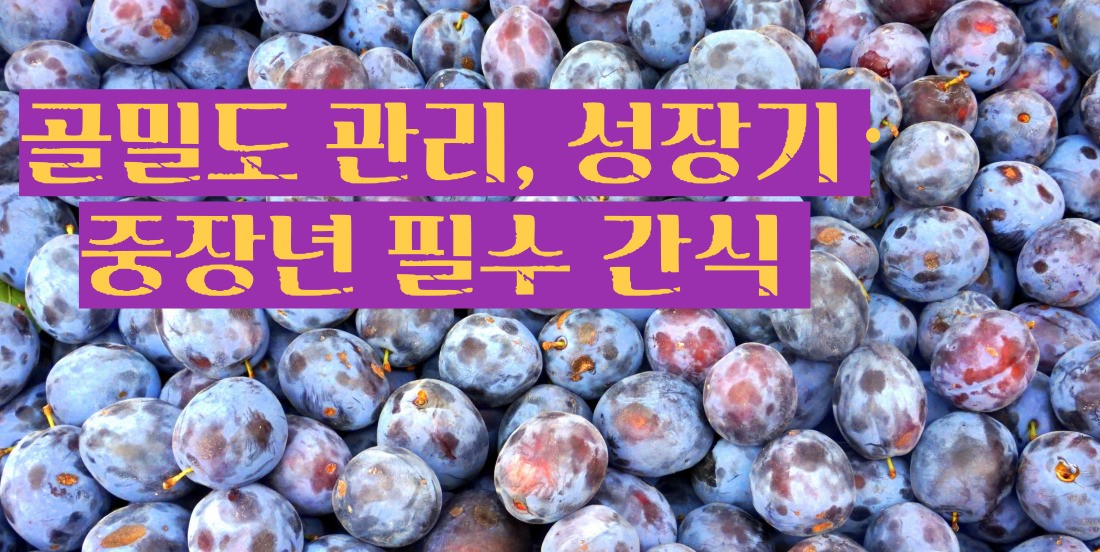 푸룬 건자두 효능 부작용