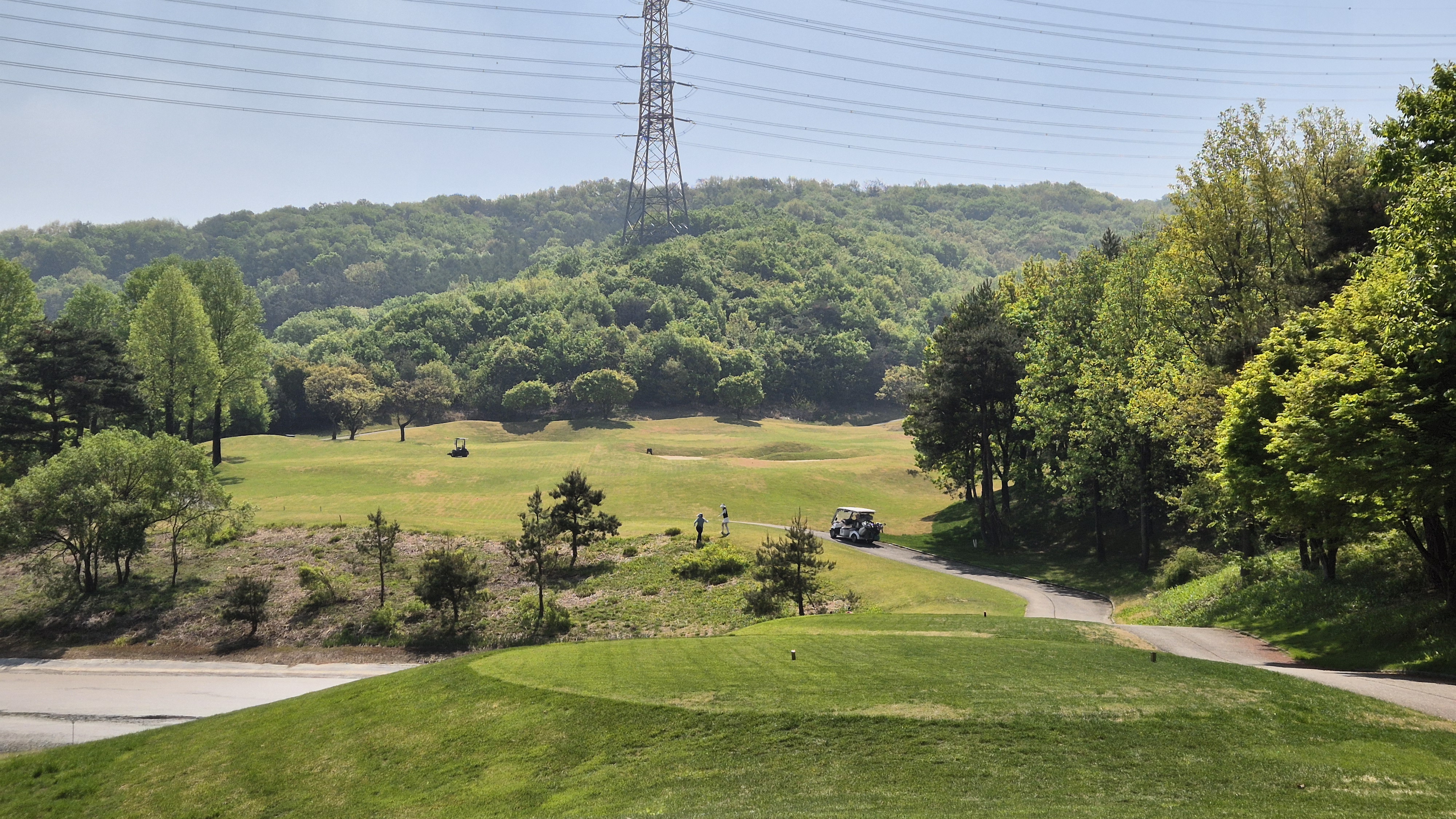 마에스트로cc 코스