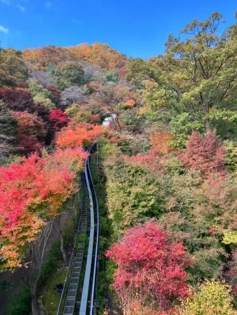 화담숲 단풍 절정시기 예약 방법까지 정리_4
