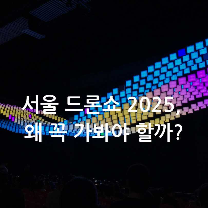 서울 드론쇼 2025