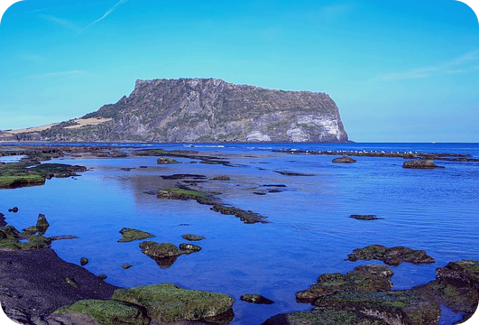 제주도관련사진