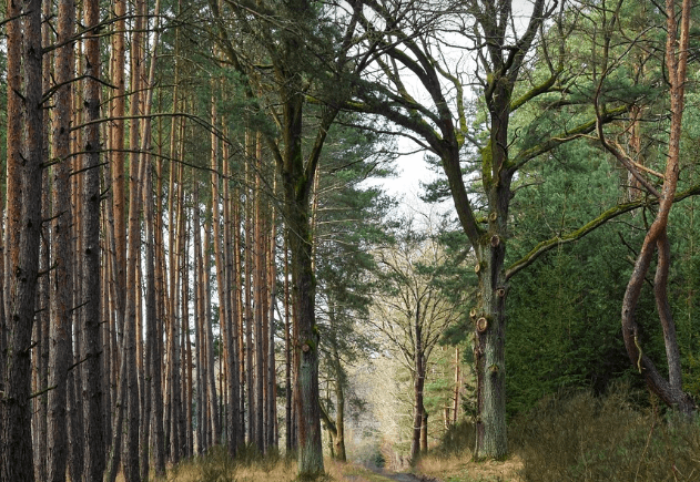 한라산 백록샘 최초 개방 예약방법